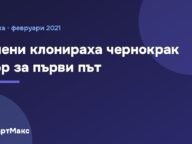 Учени клонираха чернокрак пор за първи път