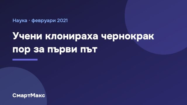 Учени клонираха чернокрак пор за първи път